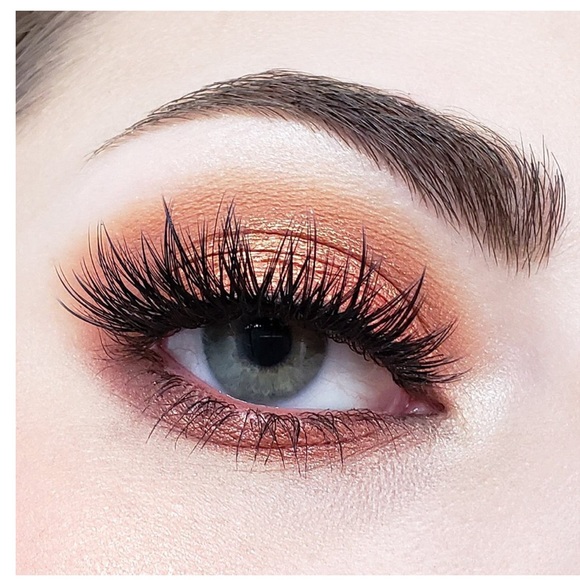 Crown Pro 10 Color Fuego Collection Eye Palette - Picture 8 of 11